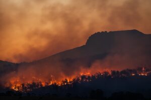 How did three firefighters die while battling wildfires on the Colorado-Utah border?