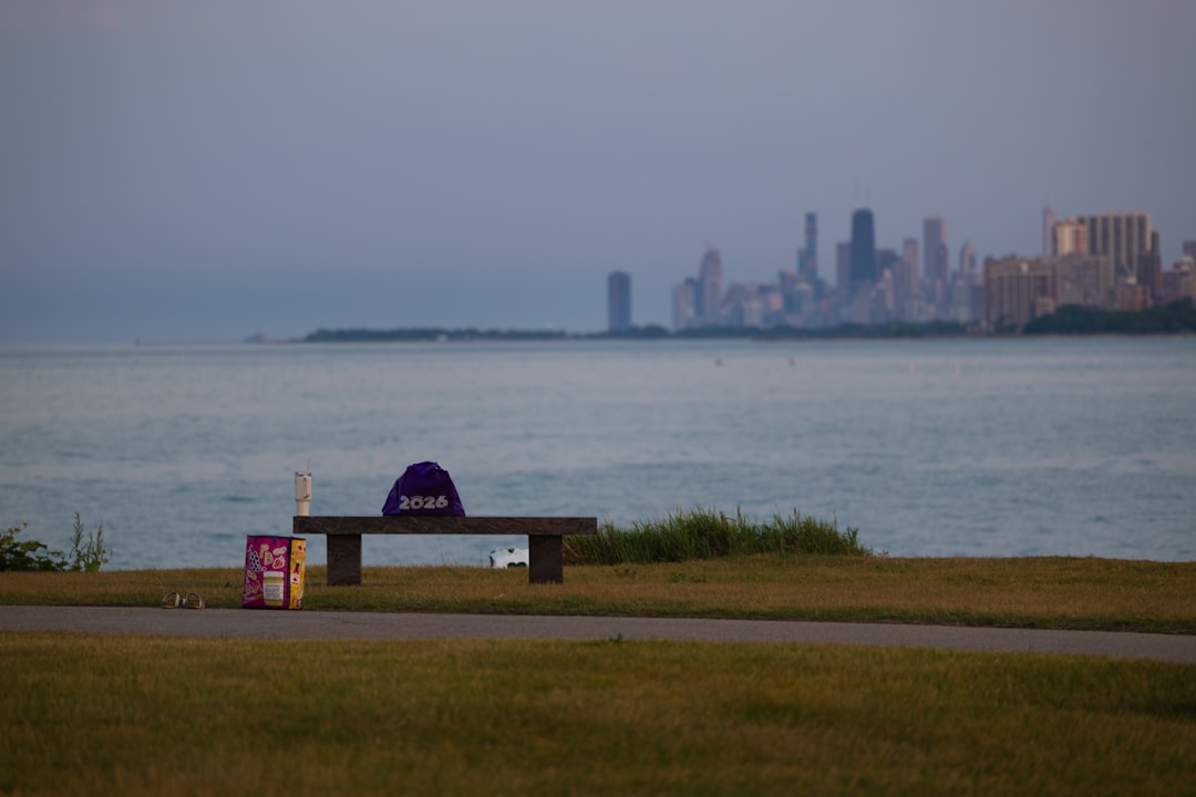 The Michigan Schism: How the El-Sayed-Stevens Primary Redefines the Democratic Identity
