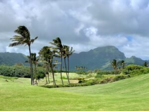 Lala’s Path to Hawaii Tests Trump Administration’s Disaster Coordination
