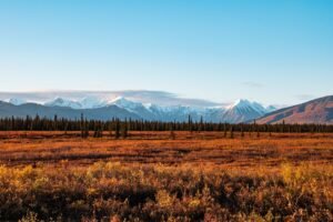 Alaska Senate Primary Yields Two Dan Sullivans, Heightening National Spotlight