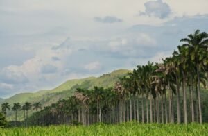 Trump’s Venezuela Oil Deal Redefines Energy Geopolitics