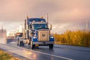The CDL Purge: Federal Crackdown Signals a Shift in Transport Governance