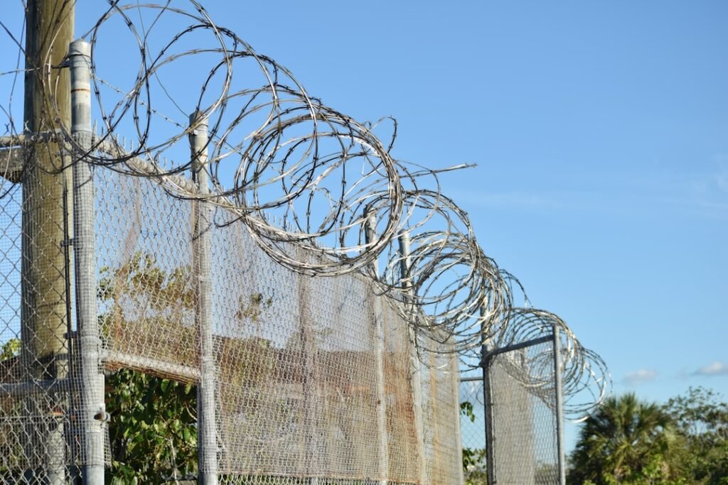 Alligator Alcatraz Exposes the Rot at the Heart of Trump’s Immigration Machine