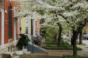 Baltimore Park Shooting Exposes Municipal Risk Vectors for Capital Allocators