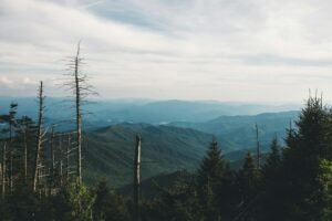 Inland Hurricane Risk Exposes Appalachia's Infrastructure Gaps